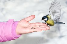 Научить ребенка заботиться об экологии