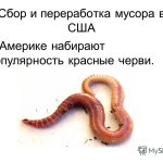 Переработка Мусора в Сша
